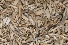 biomass boilers Trebilcock